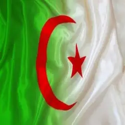 باحث عن مبرمجين